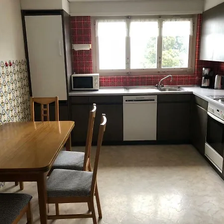 公寓 Spacious Overlooking Lake Brienz 因特拉肯