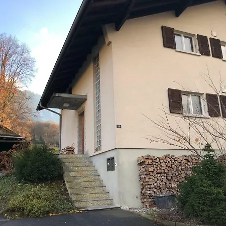 Spacious Overlooking Lake Brienz * 因特拉肯