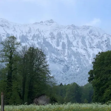 Spacious Overlooking Lake Brienz 公寓 因特拉肯